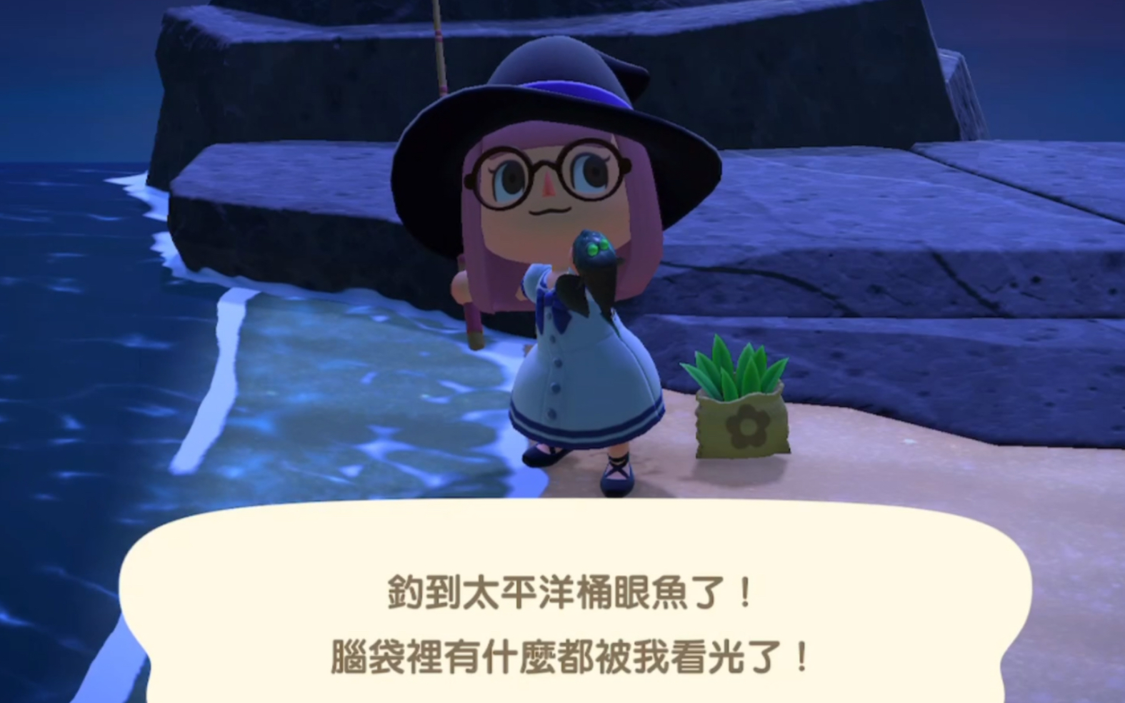 集合啦动物森友会四月份稀有鱼类金坷垃之太平洋桶眼鱼