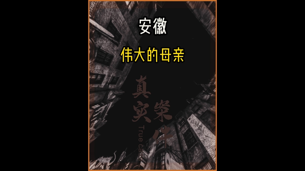 安徽宣城案件记录.为了保护熟睡的女儿,母亲恳求歹徒小声点,甘愿做个“小丑”哔哩哔哩bilibili