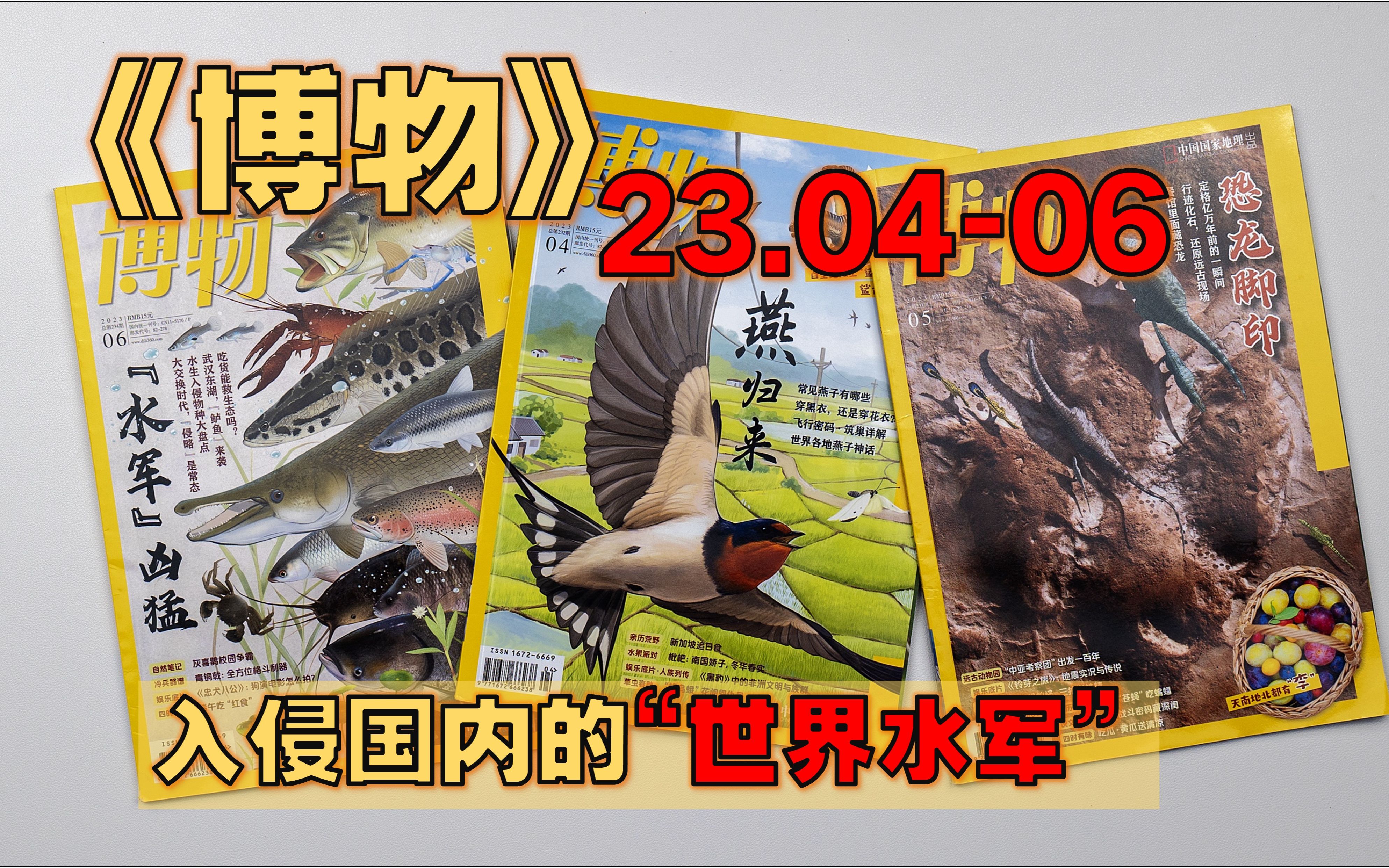 【月刊】《博物》 23年46月  大闹海外的“中国水军”/ 青铜戟:全方位格斗利器/ 哪个妖怪闹地震/ 家燕的私生活/ 《黑豹》中的非洲文明与族群哔哩哔哩...