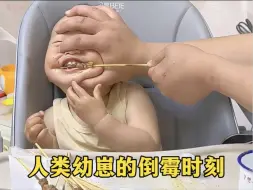 Скачать видео: 人类幼崽的搞笑瞬间简直太可爱了#萌娃 #人类幼崽 #搞笑 #熊孩子 #人类幼崽迷惑行为大赏