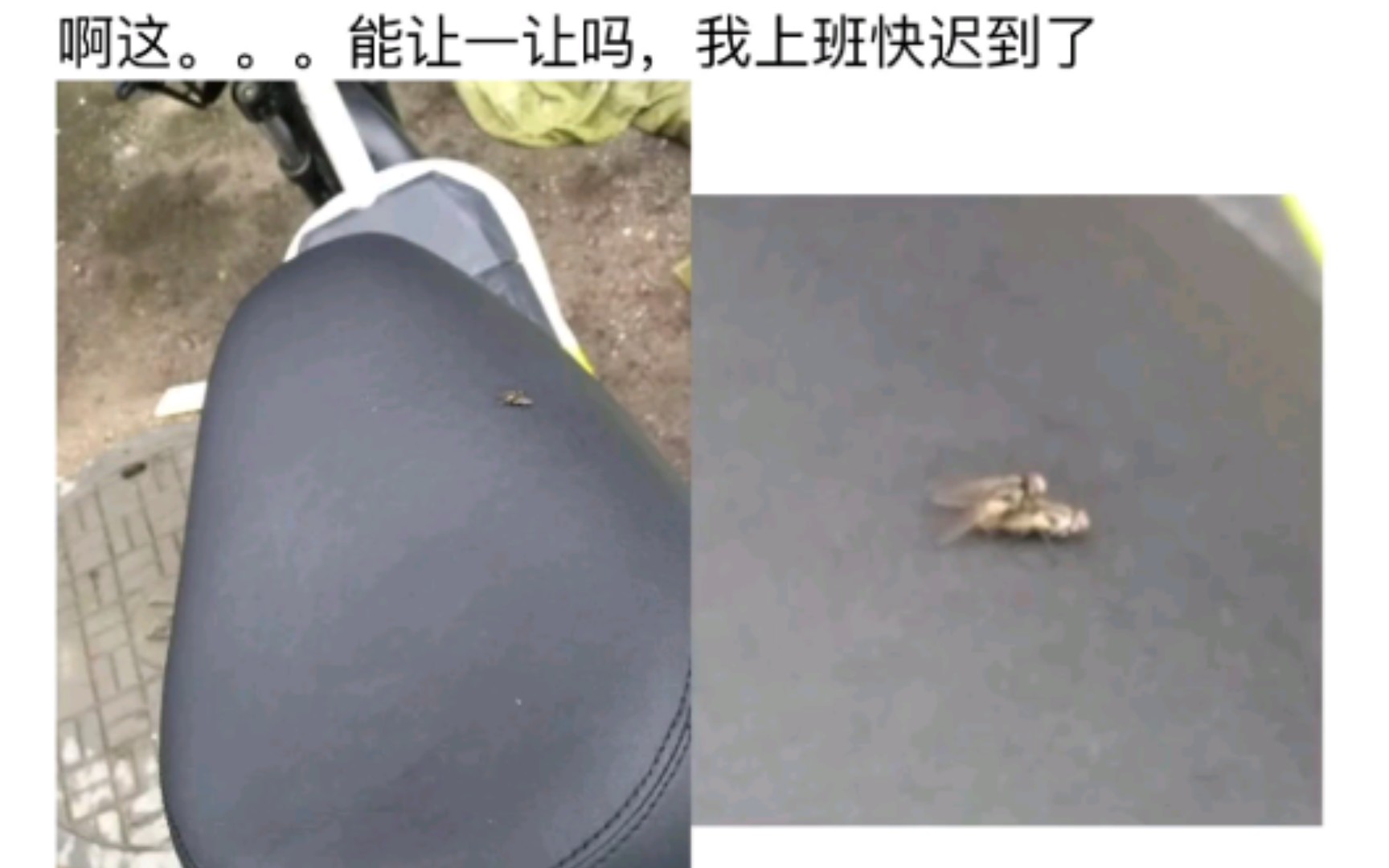 网络上那些搞笑图片哔哩哔哩bilibili