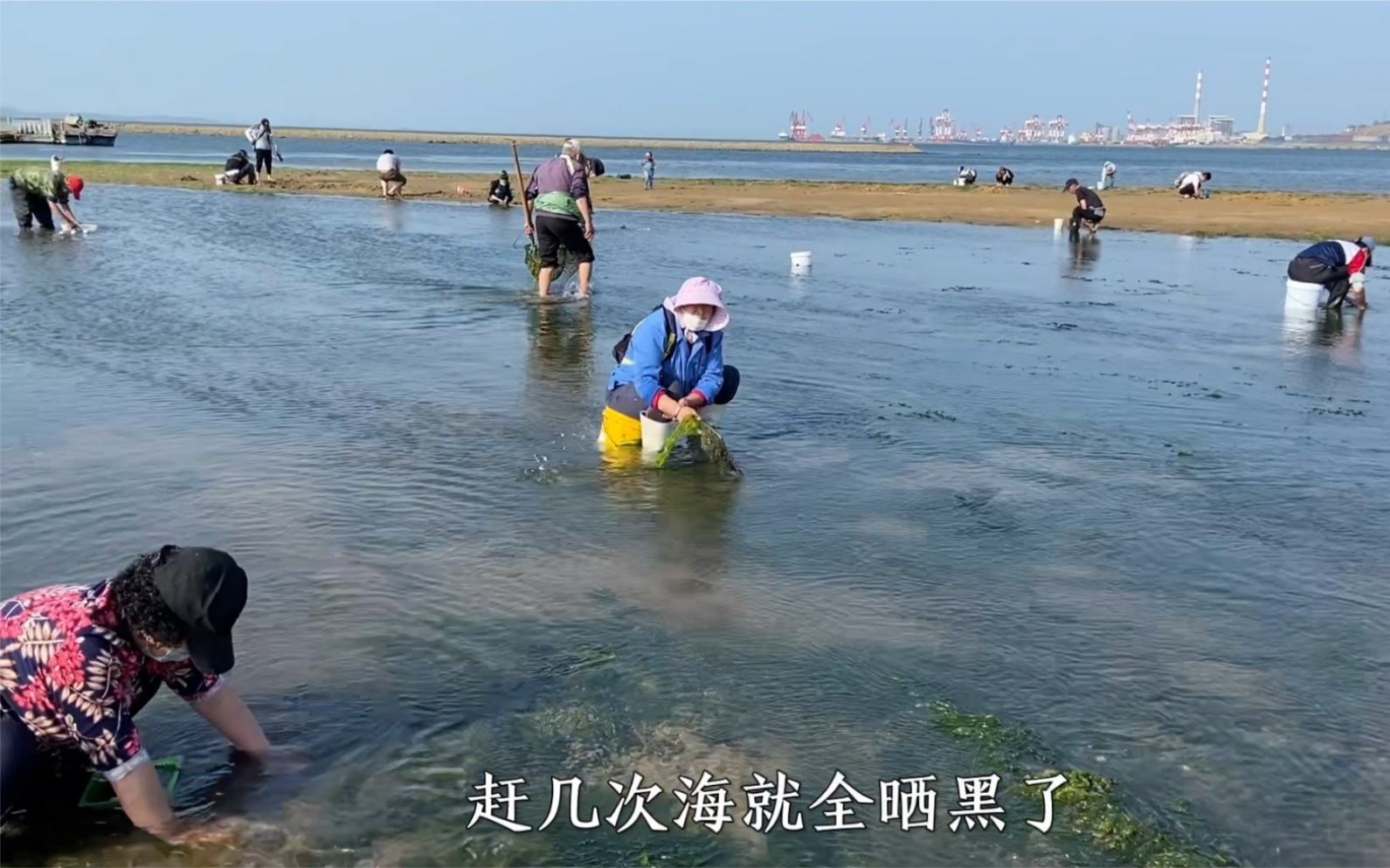 很多人不知道啥是赶海,看看威海的千人赶海,太有意思了哔哩哔哩bilibili