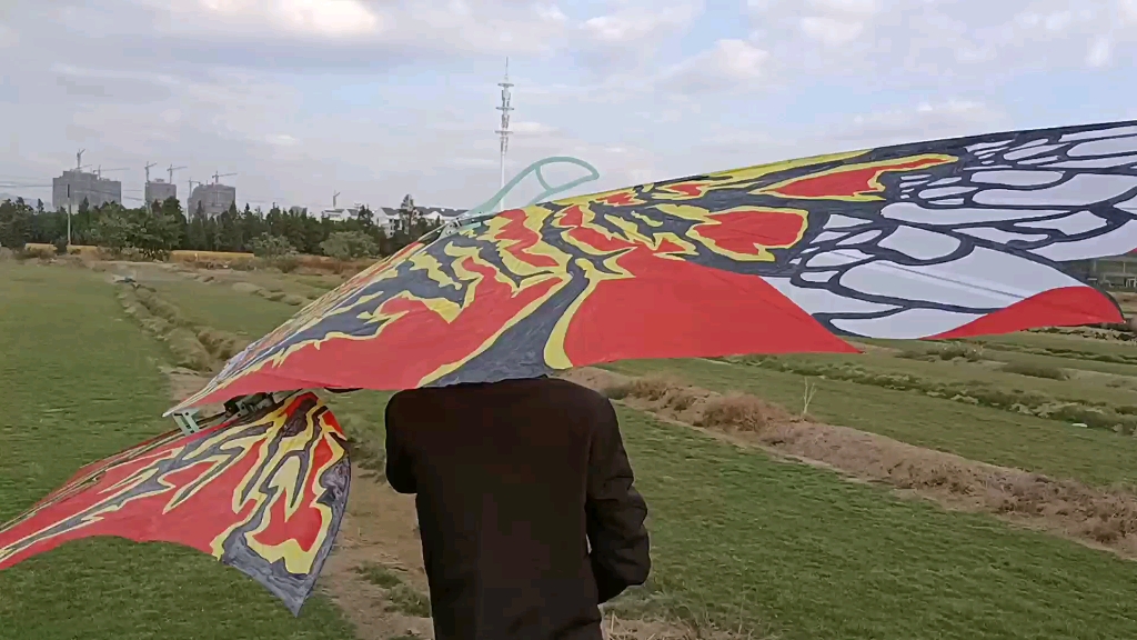 仿生阿凡达魅影龙翼展35米全国首台测试试飞成功