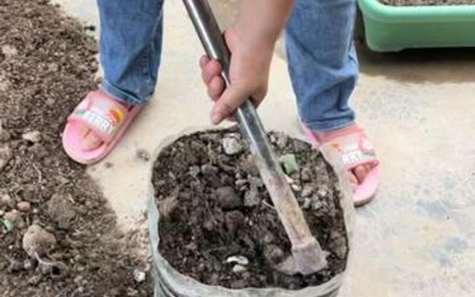 [图]种菜防虫第一部就是要晒土，盆栽的收完菜倒出来晒几天再种，地栽的要深翻土晒上几天再种，这样会减少病虫害，