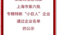 【工信部】:上海市第六批专精特新“小巨人”企业和第三批专精特新“小巨人”复核通过企业名单的公示一哔哩哔哩bilibili