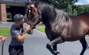 Скачать видео: 与李保利骑手再会的统治地位