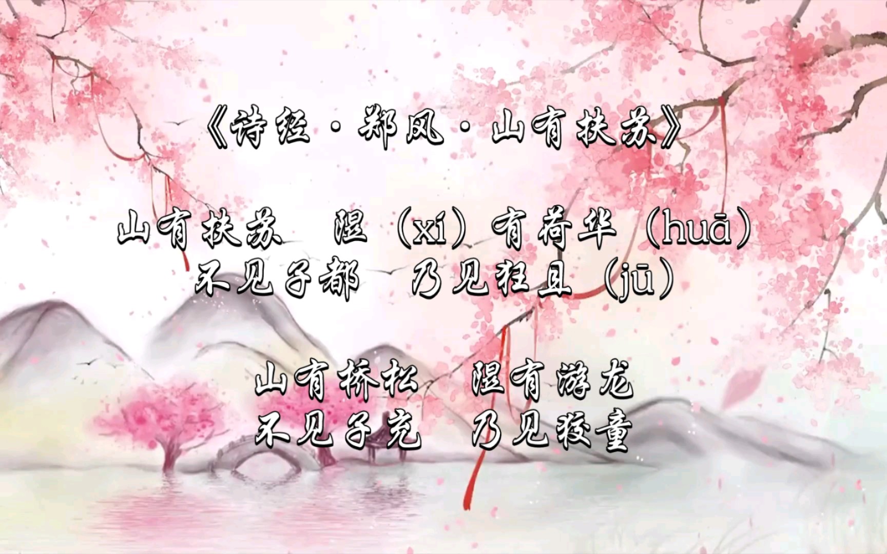 每日一诗 |《诗经·郑风·山有扶苏》_哔哩哔哩_bilibili