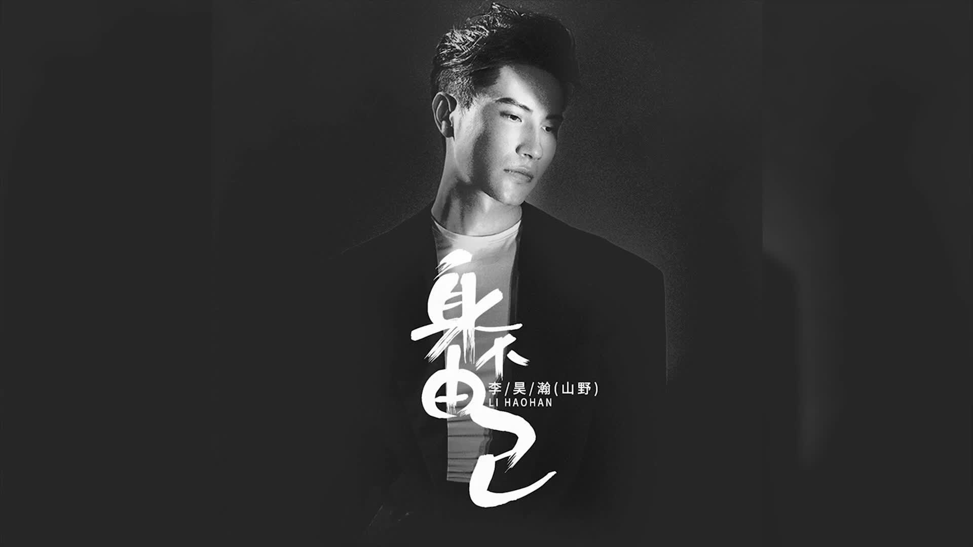 李昊瀚山野身不由己cc歌词字幕