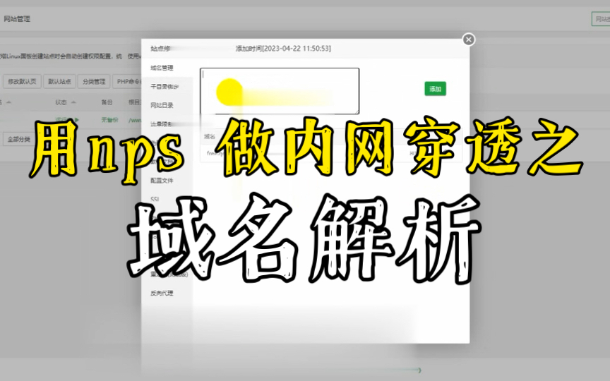 用nps做内网穿透之域名解析哔哩哔哩bilibili