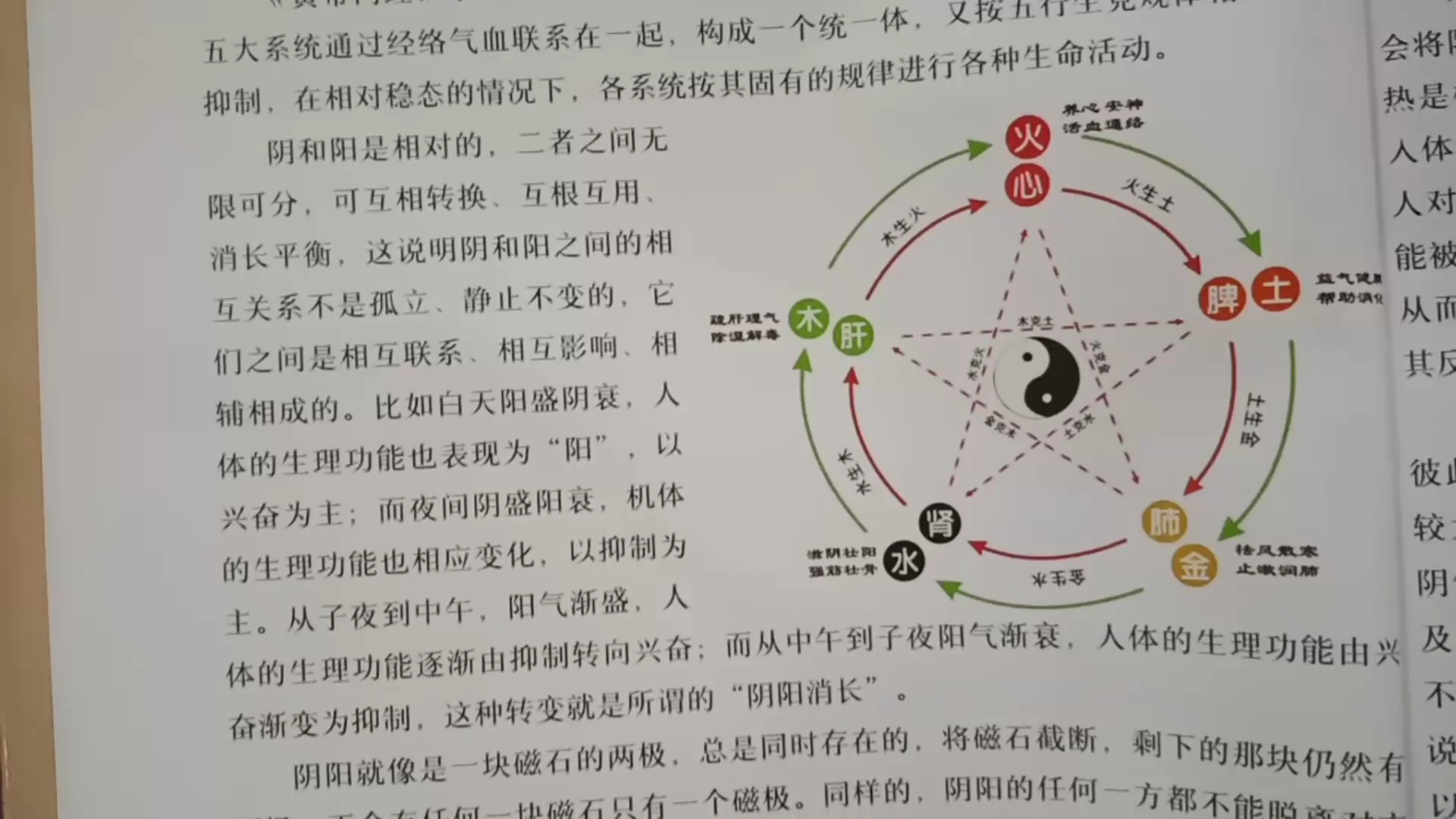 活动作品人体内的阴阳奥秘