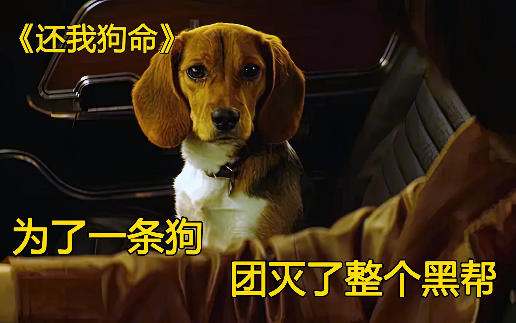 动作电影《还我狗命》