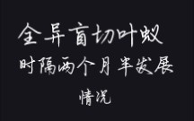 全异盲切叶蚁观察 (记录生活)哔哩哔哩bilibili