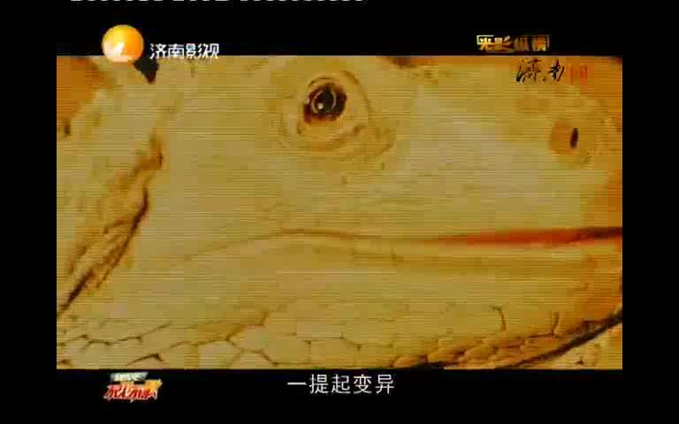 物种的遗传与变异哔哩哔哩bilibili