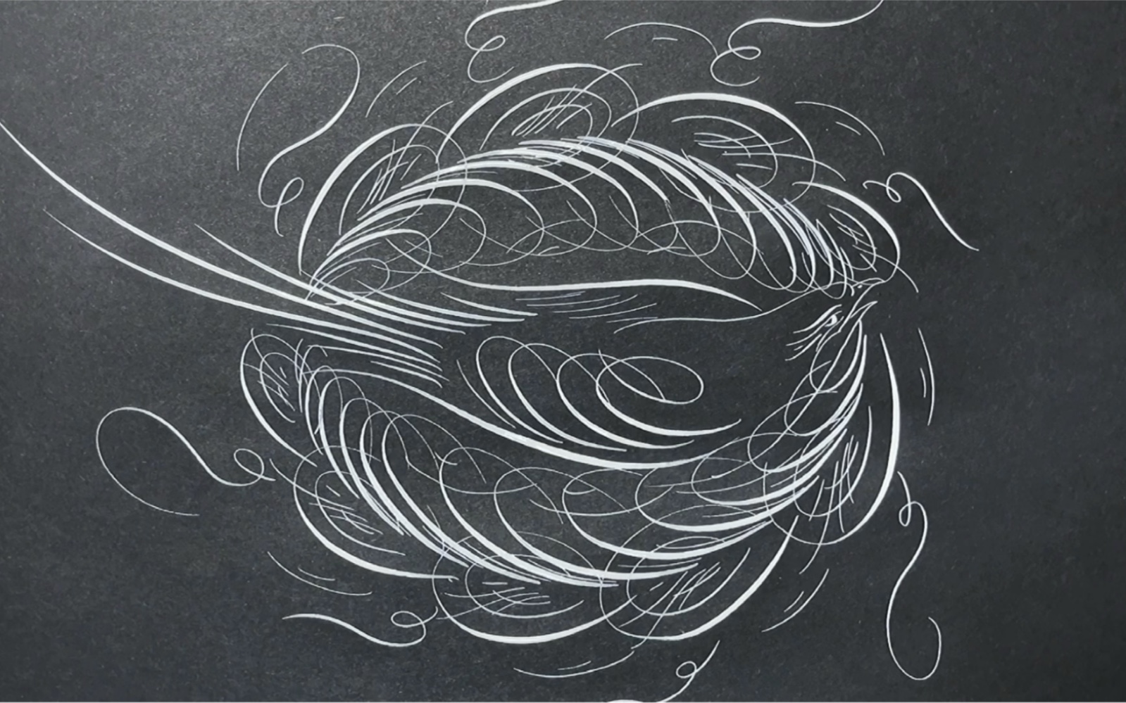 【flourishing】 画一只简单点的巢中鸟