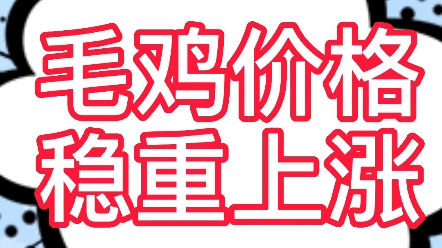 2022年3月3日,今日大肉食毛鸡报价稳中上涨.市场毛鸡出栏量一般,冻品走货一般,屠宰场企业控量限杀,毛鸡价格稳中上涨预计今晚毛鸡报价稳定,棚...