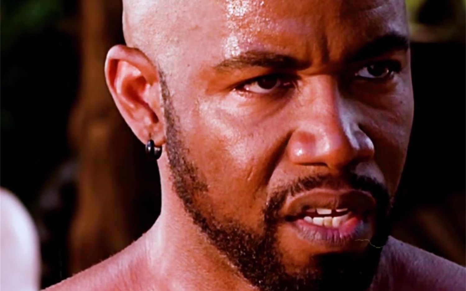 如果迈克尔加怀特要教你功夫,你愿意学吗?