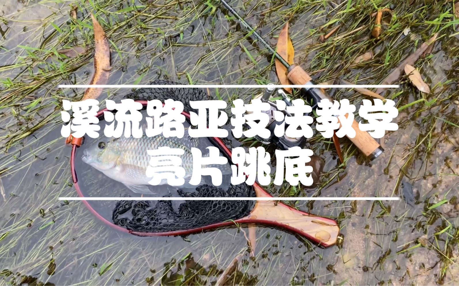 溪流路亚进阶技法教学 亮片跳底
