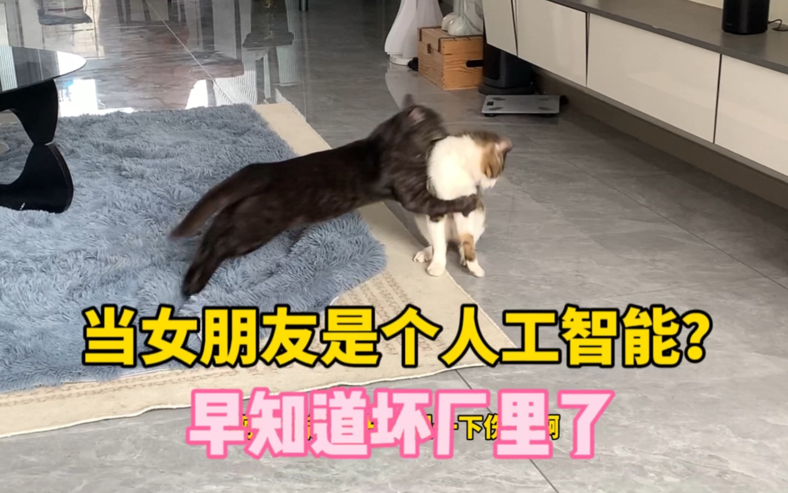 假如我说如果给我家猫找个电子猫当老婆哔哩哔哩bilibili