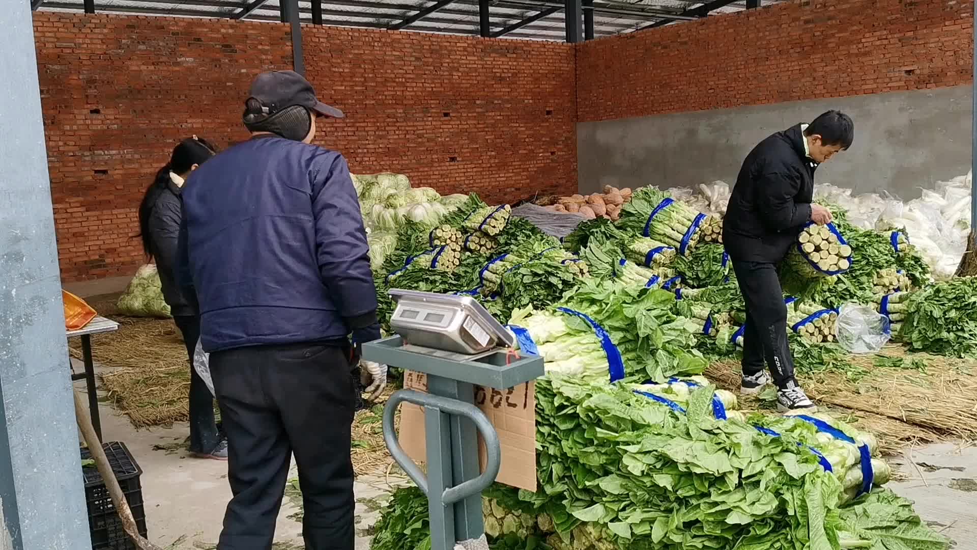 買一捆蔬菜也是批發價,漢中大叔買菜得實惠,西北農副