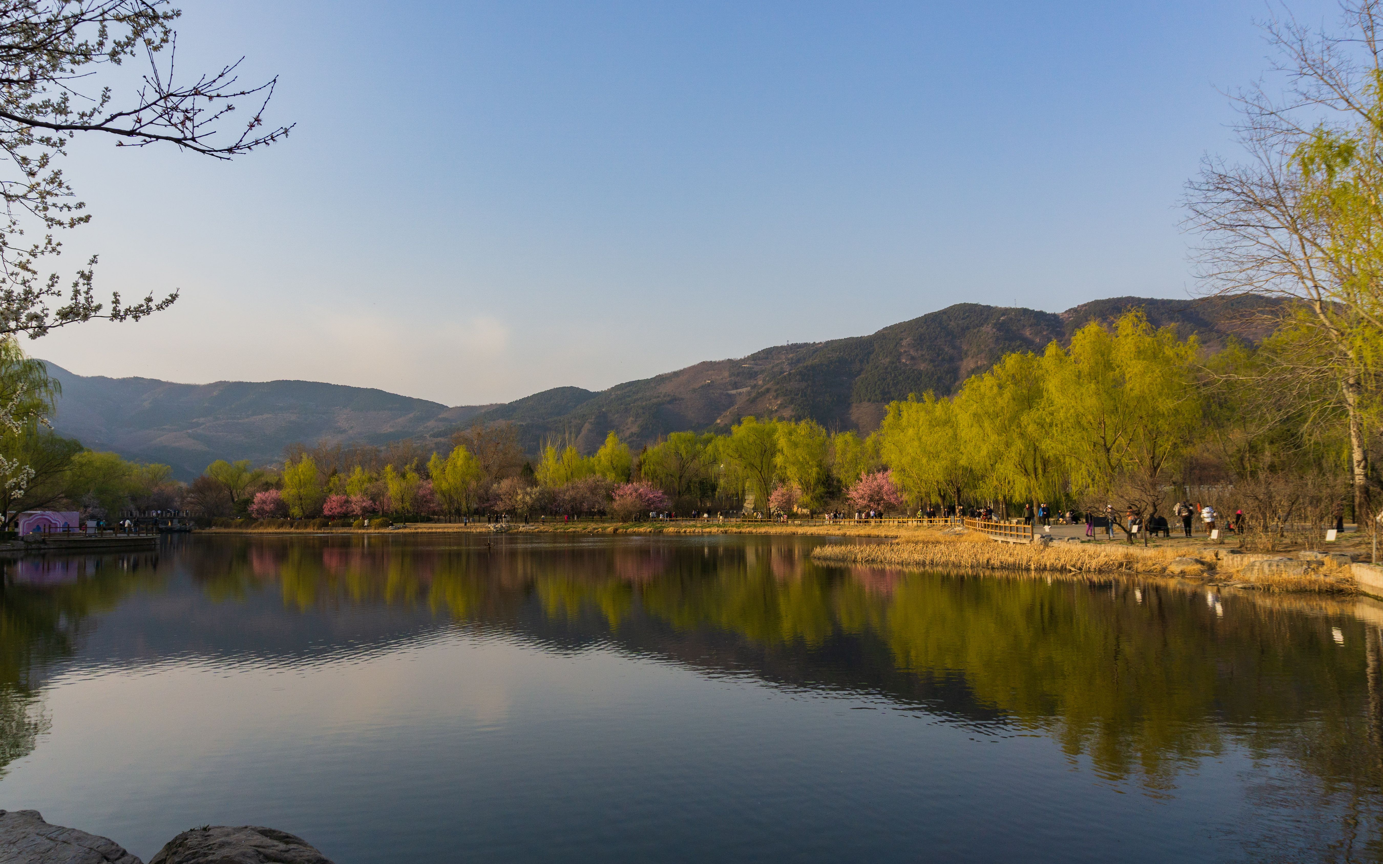 国家植物园北园小游