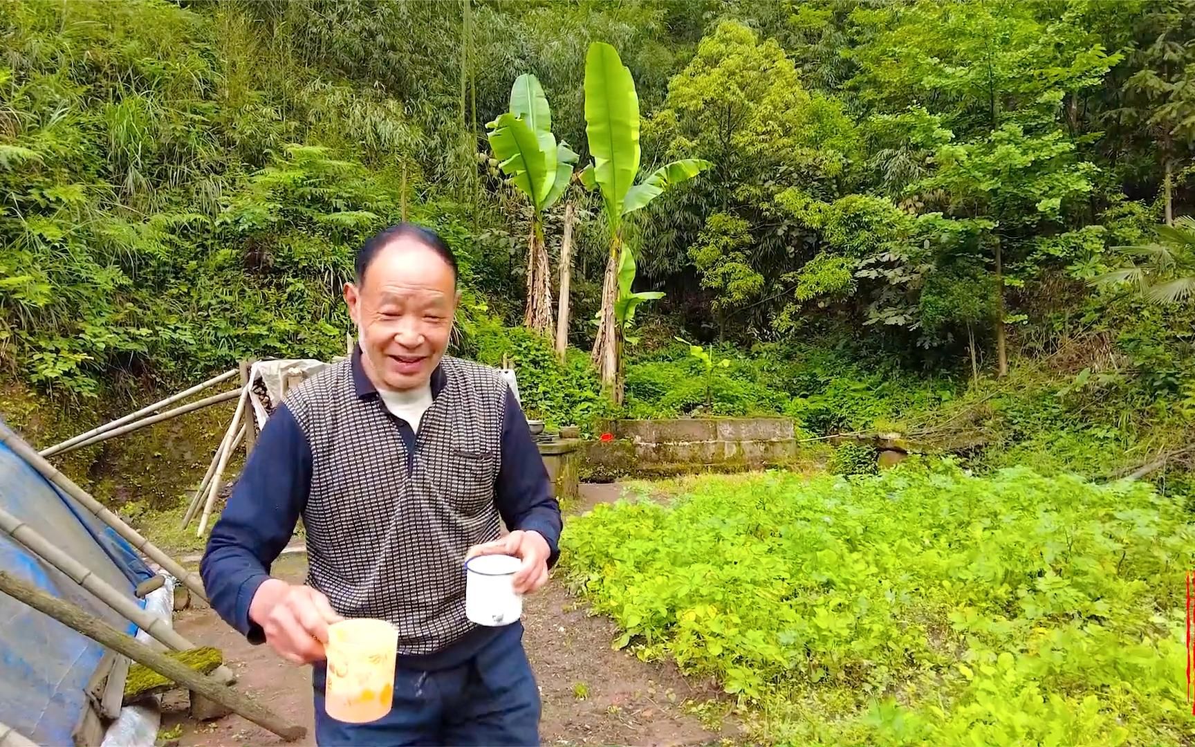 四川深山有个悬崖村,出村路只有一条崖壁石梯,村内有原始森林哔哩哔哩bilibili