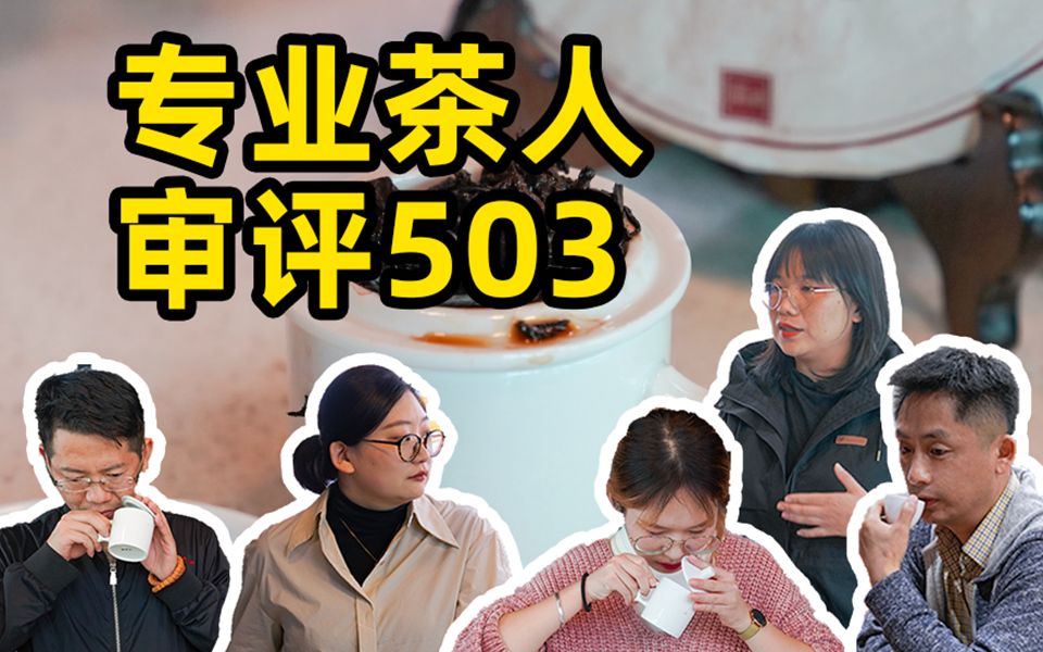 专业审评!熟茶也能越陈越香?| 茶山TV246哔哩哔哩bilibili