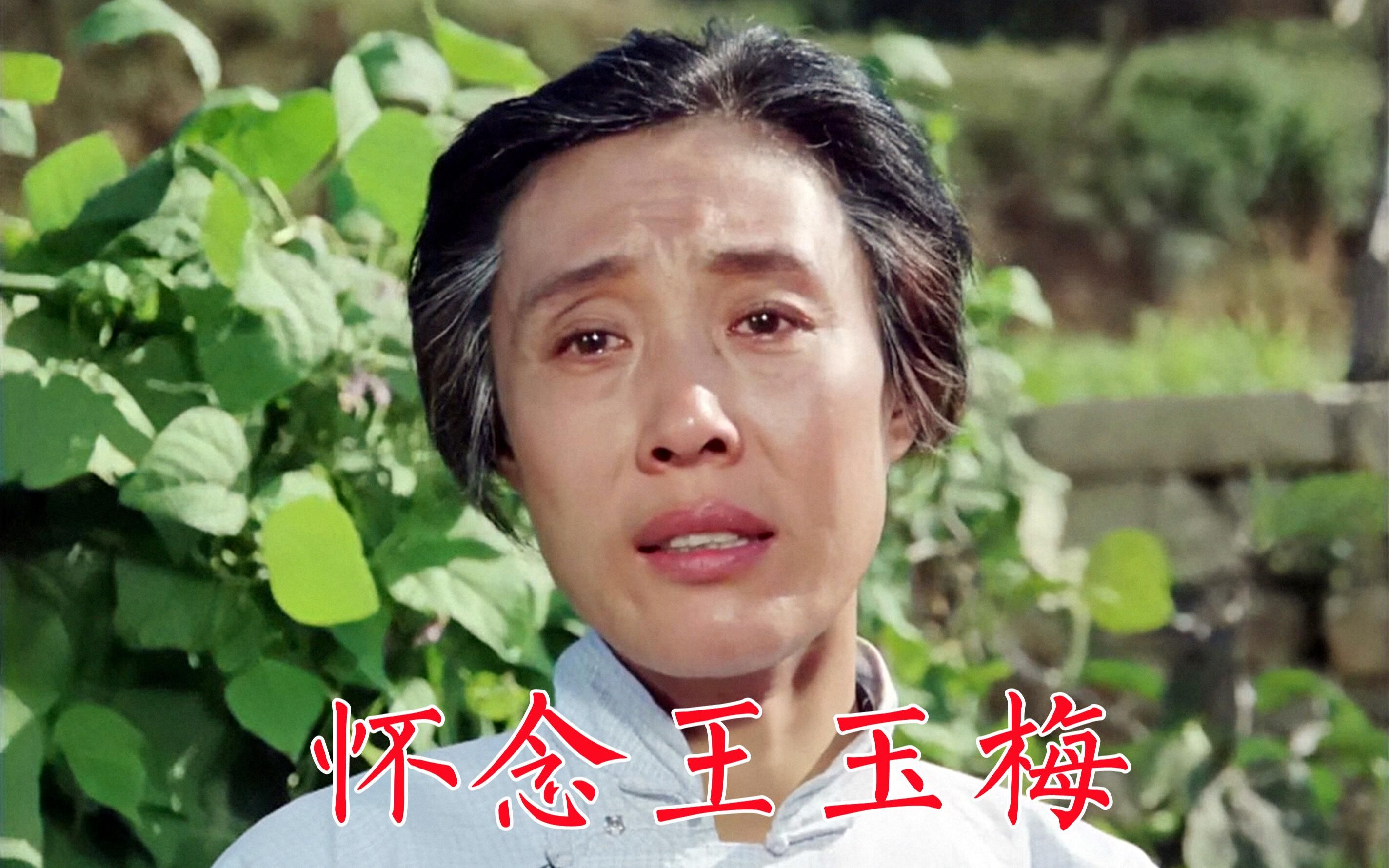 怀念王玉梅:喜盈门、内当家、高山下的花环,演技精湛表演艺术家哔哩哔哩bilibili