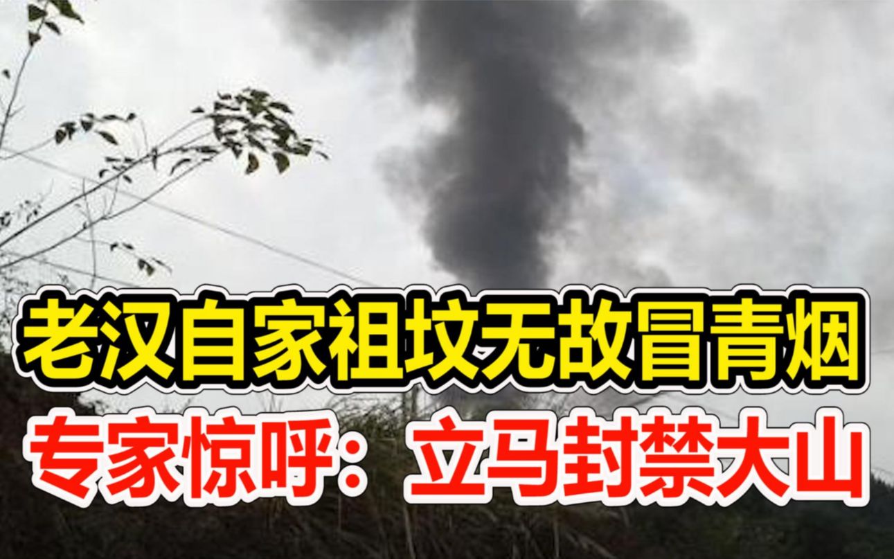 湖北老汉家祖坟无故冒青烟专家现场挖开后惊呼立马封禁大山