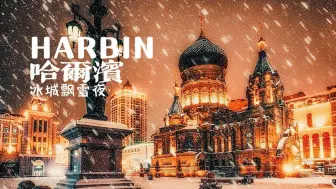 Tải video: 美丽中国 漫步在哈尔滨飘雪夜❄雪后清晨  你若盛开，蝴蝶自来，你若精彩，天自安排