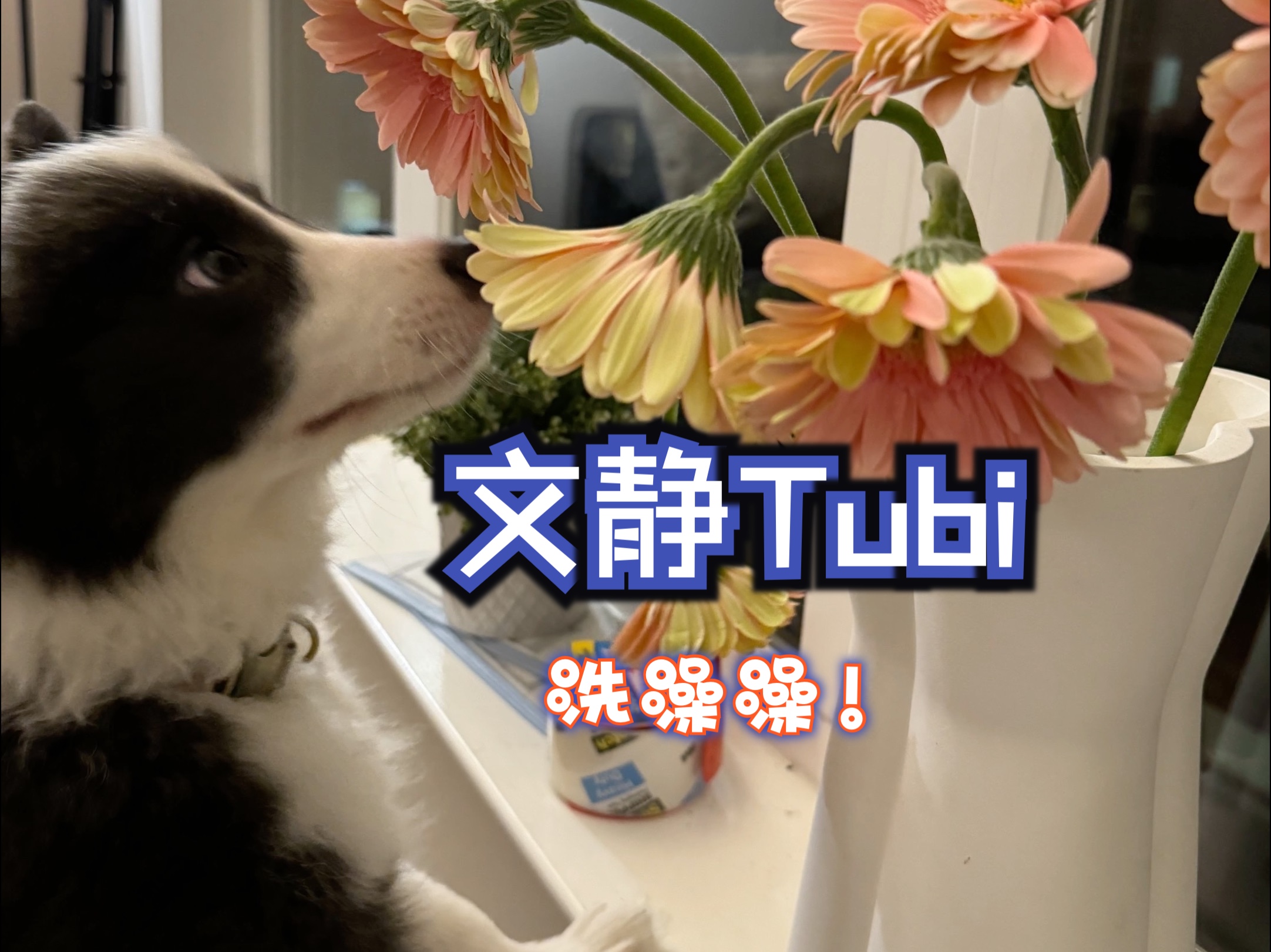 洗澡限定:文静Tubi哔哩哔哩bilibili