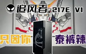 Download Video: 180拿下，极具未来科技感的外观，但颜值之下到底还有啥可说？ |  追风者 PH-ES217E V1机箱简评