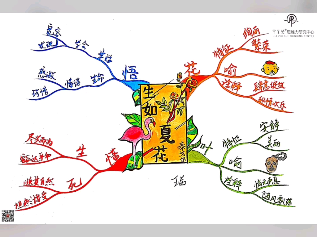 生如夏花思维导图图片