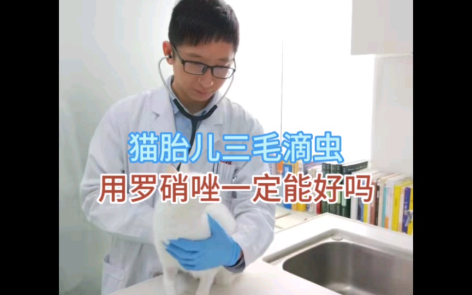 猫胎儿三毛滴虫用罗硝唑一定能好吗?哔哩哔哩bilibili