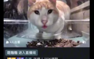 Télécharger la video: 猫：我吃柠檬