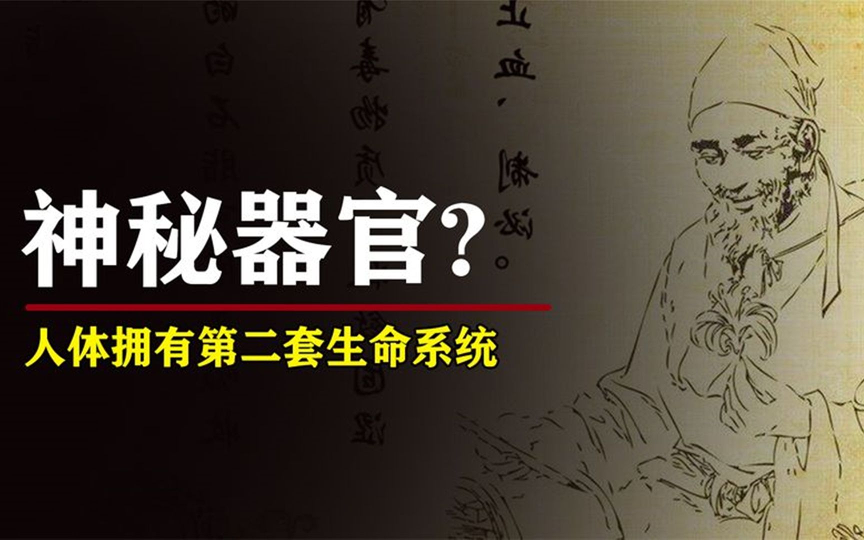 [图]神秘隐藏器官？人体第二套生命系统，无法解释的医学！