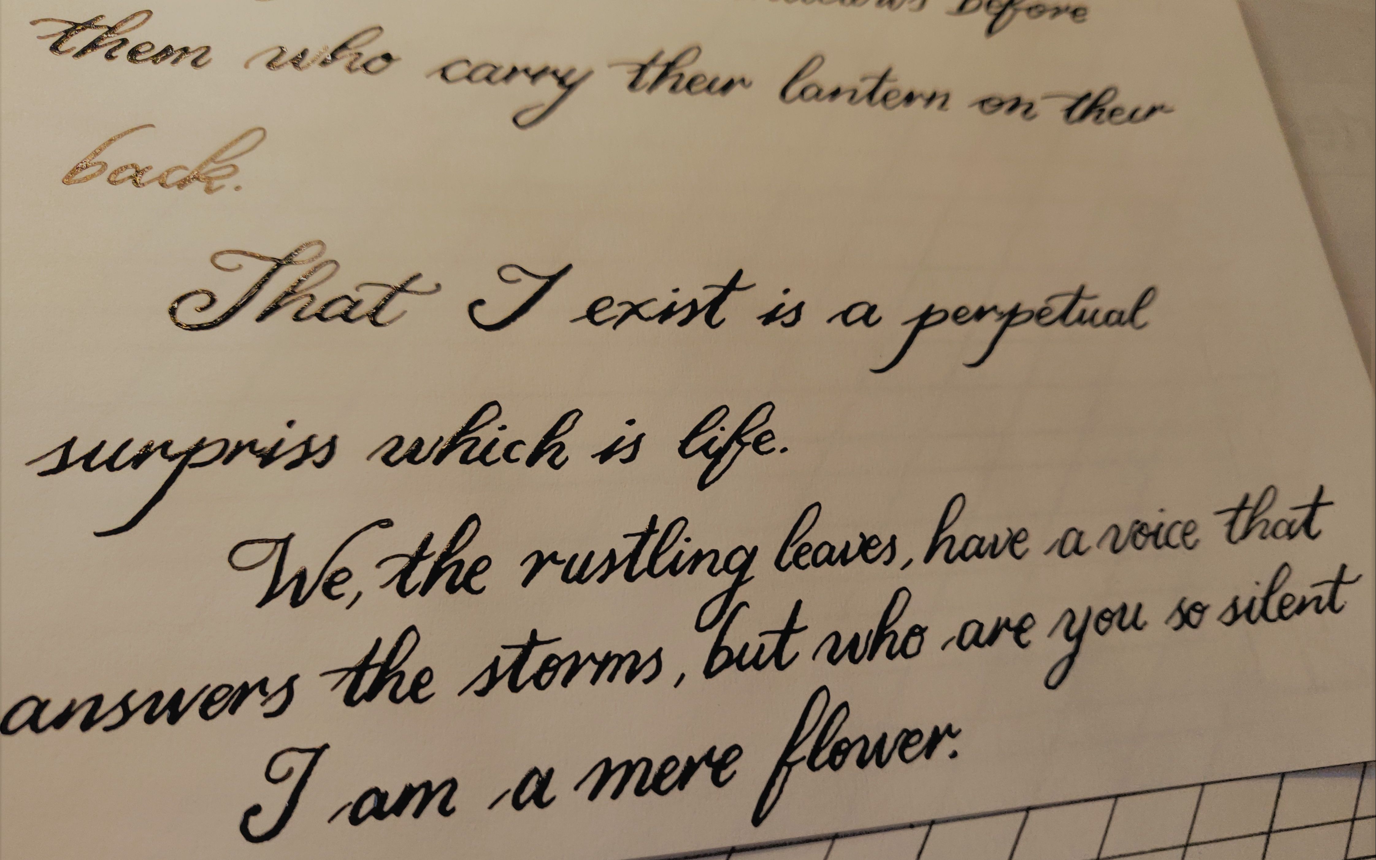 飞鸟集22英文书法练习