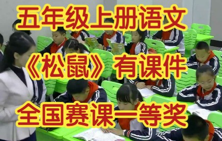 部编版小学语文五年级上册《松鼠》有课件教案 全国赛课一等奖哔哩哔哩bilibili