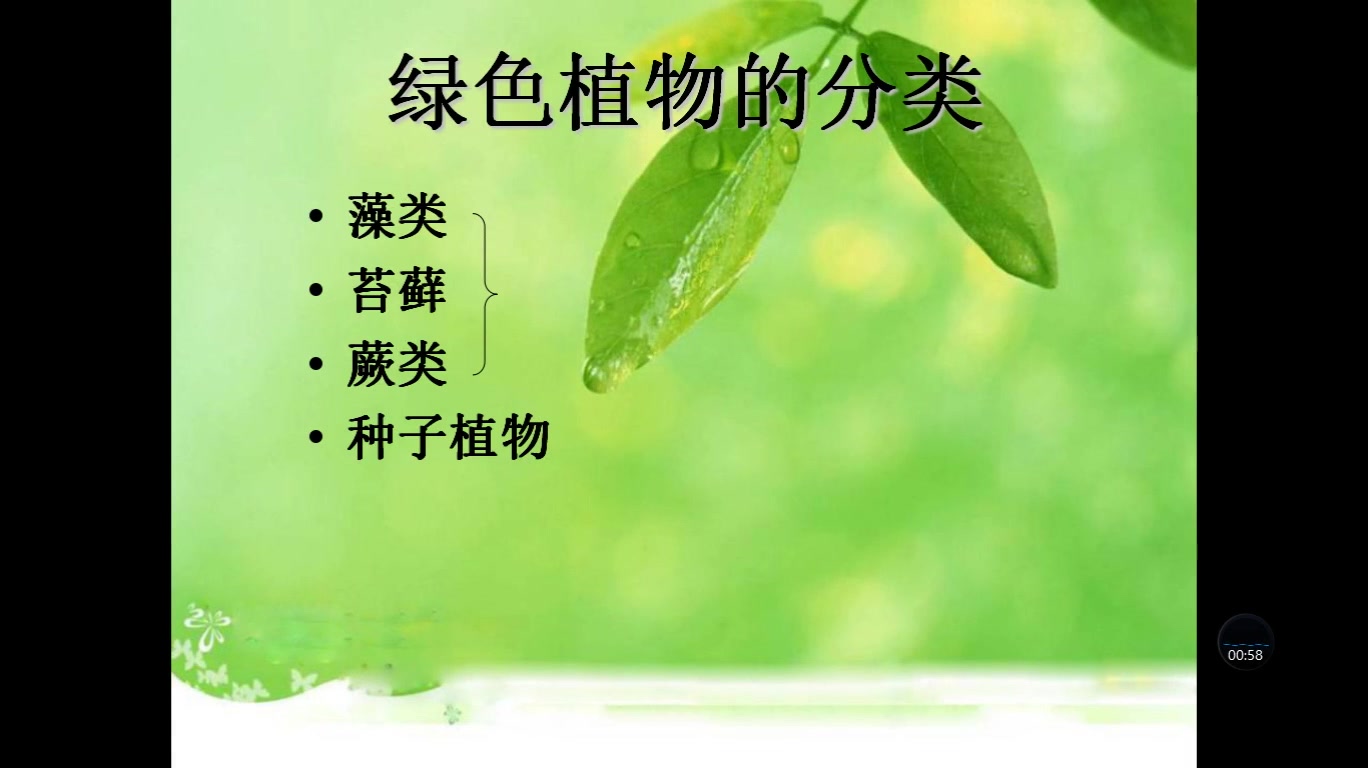 生物圈中的绿色植物哔哩哔哩bilibili