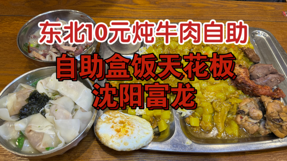 自助盒饭天花板沈阳富龙,10元炖牛肉随便吃!!羊汤馅饼,四十多个菜哔哩哔哩bilibili