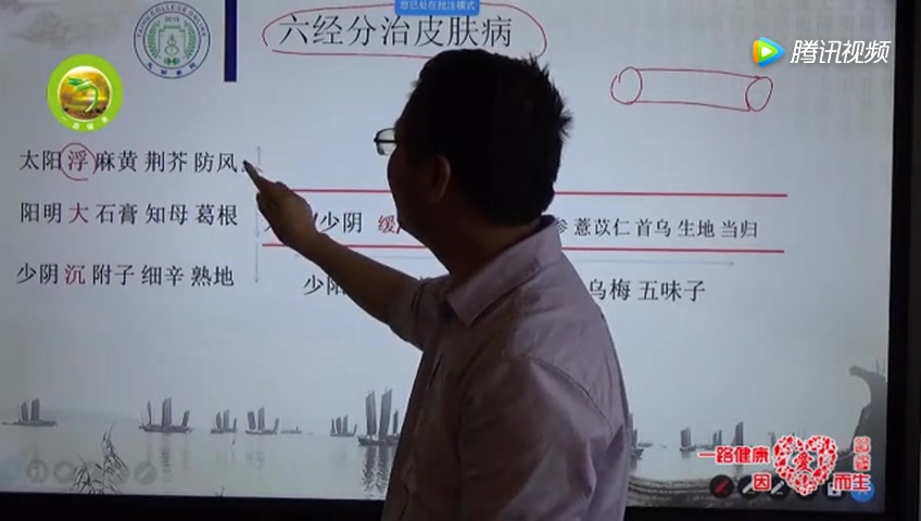 太湖学院内科学六经分治皮肤病(吴雄志教授)哔哩哔哩bilibili