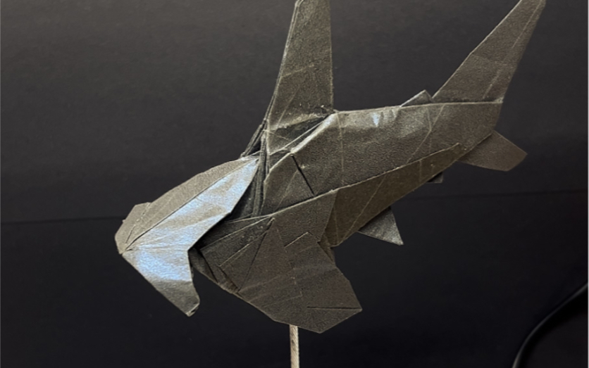 【折纸教程】锤头鲨-香巧lkf-默认收藏夹-哔哩哔哩视频