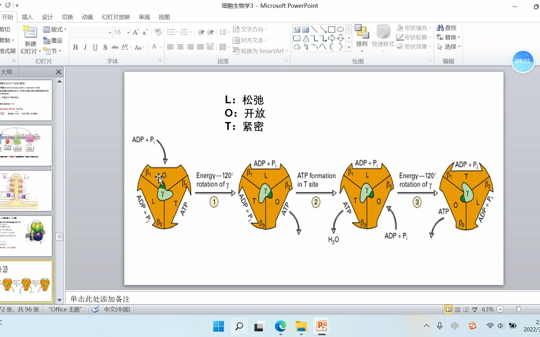 (课外拓展)ATP合成酶简单介绍哔哩哔哩bilibili