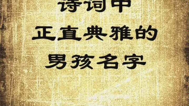 诗词中正直典雅的男孩名字,宝宝起名字!哔哩哔哩bilibili