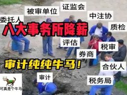 Download Video: 审计人完蛋！八大事务所降薪，冻结晋升，审计纯牛马一朝回到解放前……|25考研|管综199|审计|