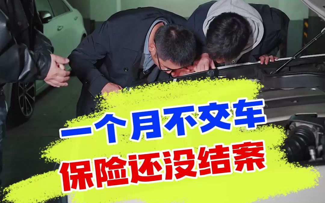 一个月不交车,车子修了还不走保险,车主想隐瞒什么?哔哩哔哩bilibili