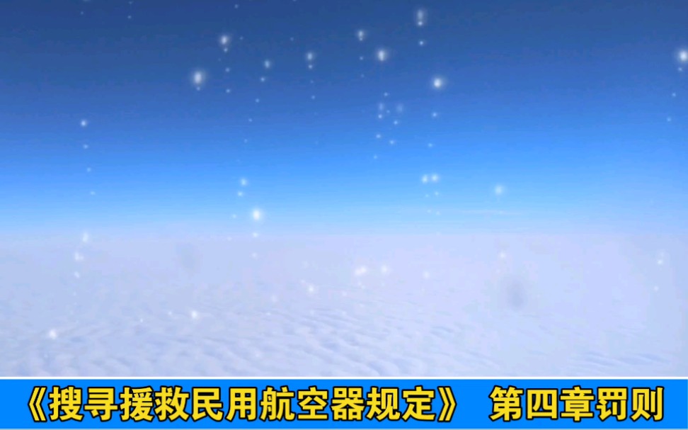 《搜寻援救民用航空器规定》 第四章罚则哔哩哔哩bilibili