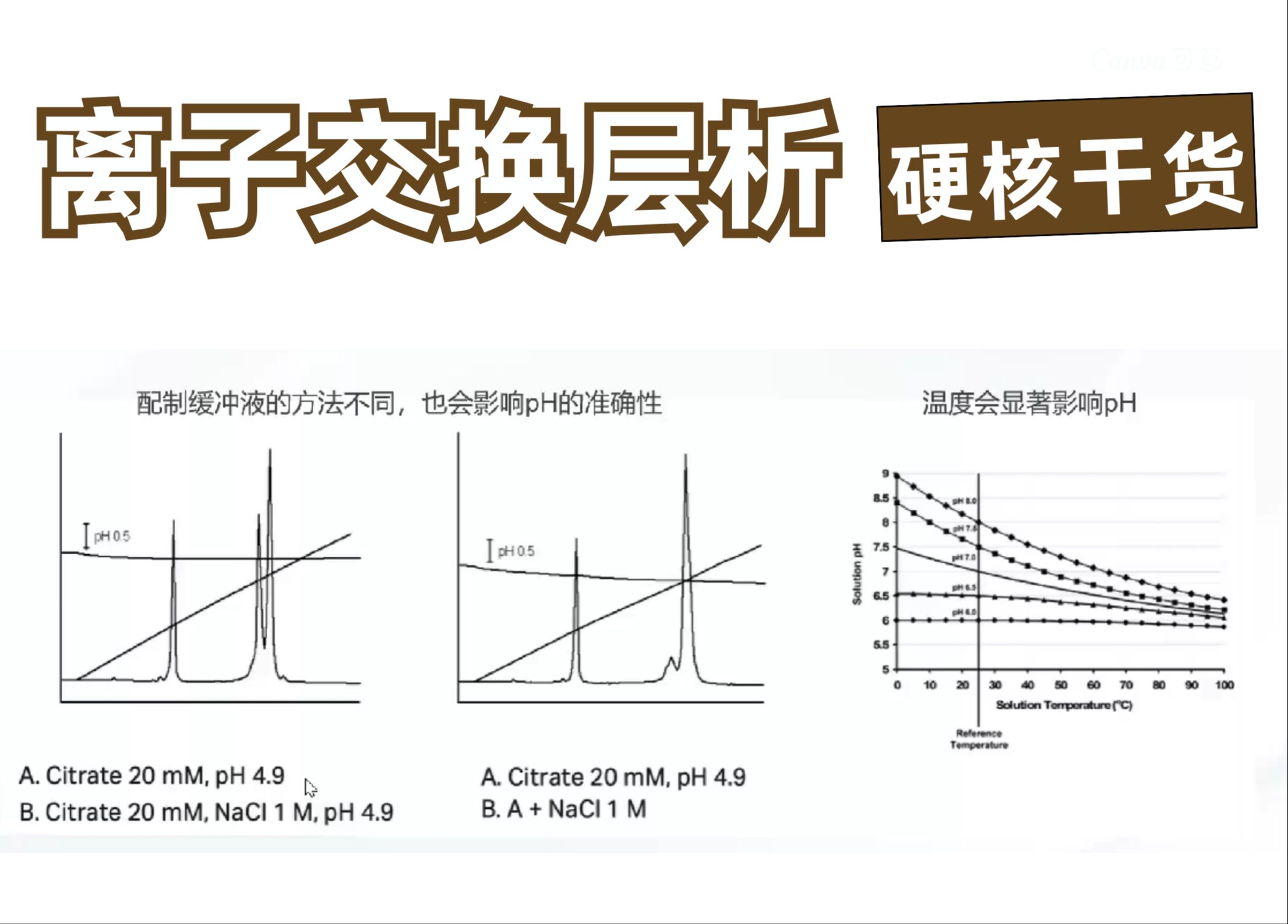 纯化小白进阶之路 | 离子交换层析硬核干货!哔哩哔哩bilibili