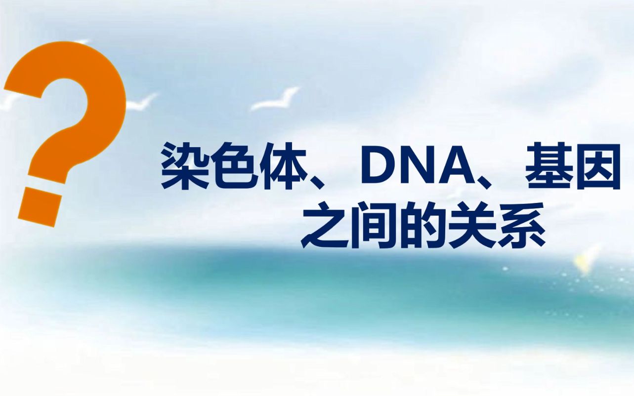 [图]生物微课 《染色体、DNA和基因的关系》