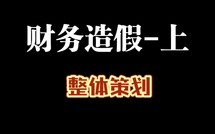 系统性财务造假详细过程展示(上)哔哩哔哩bilibili