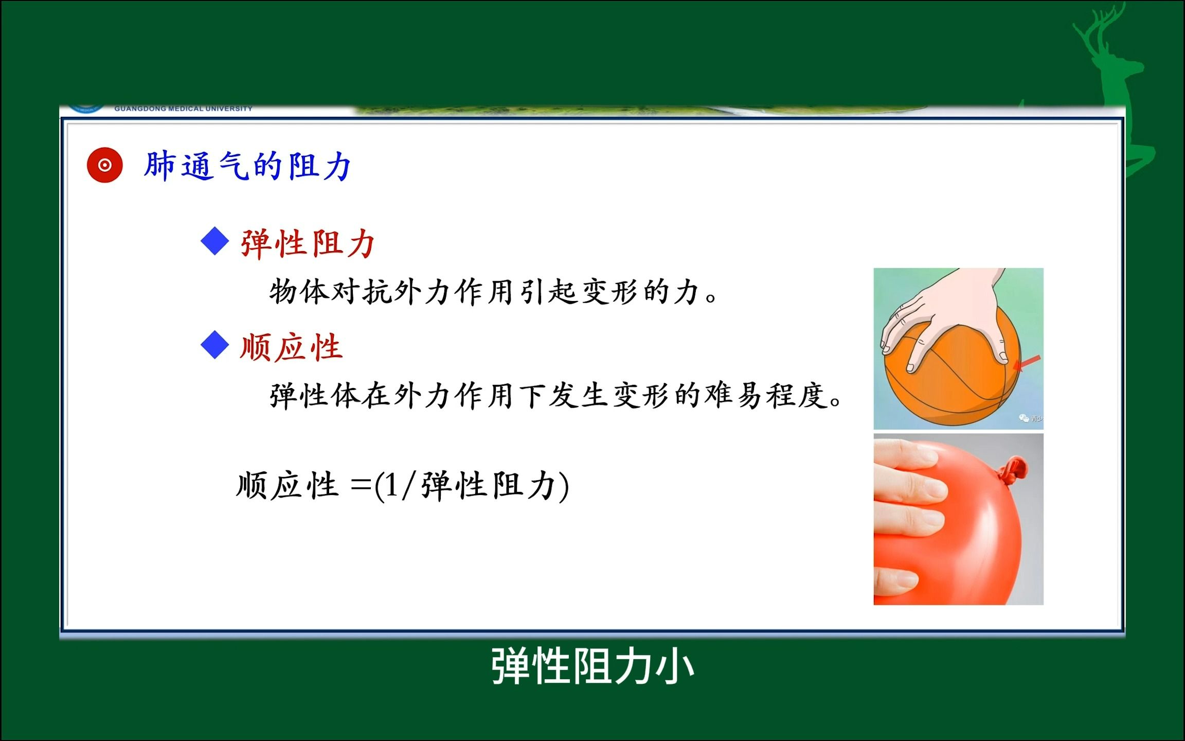 #肺弹性阻力及顺应性的概念#肺通气的阻力#人体生理学#医学知识科普#每天学习一点点哔哩哔哩bilibili